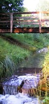Brücke am Stadtsee