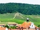 Vineyard site Kronsberg with townhall in the foreground