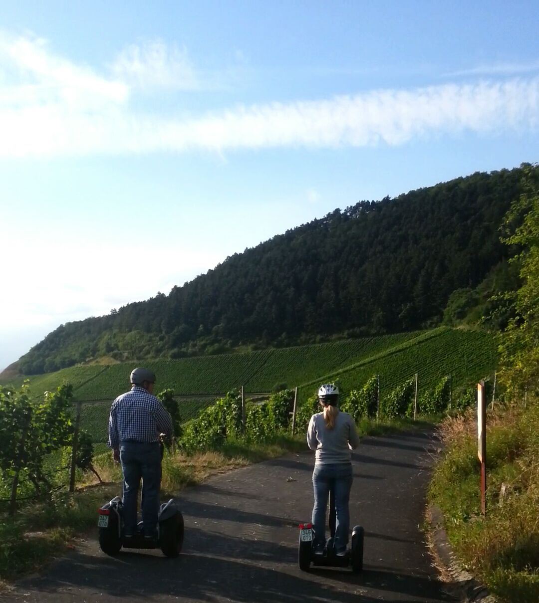 ... der Abendsonne entgegen