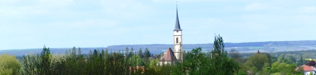 Stadtpfarrkirche St. Veit - Ansicht von Osten